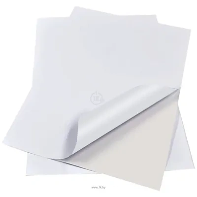 BRAUBERG A4 100 g/m2 20 l matovaya 364006 (belyiy)