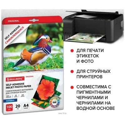 BRAUBERG A4 100 g/m2 20 l matovaya 364006 (belyiy)