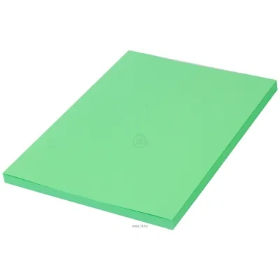 BRAUBERG A4 80 g/m2 100 l 112451 (zelenyiy)