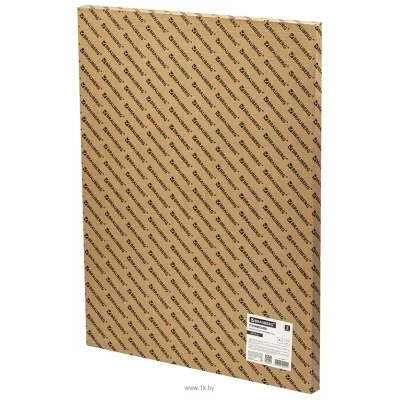 BRAUBERG matovaya 50x70 360 g/m2 5 l 112470