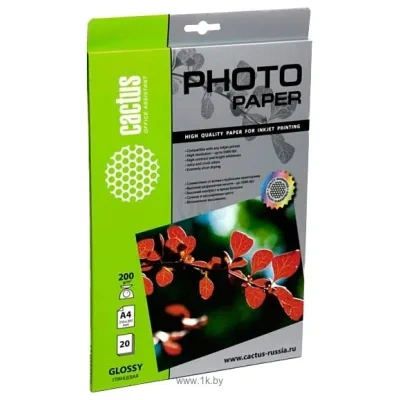 CACTUS Glyantsvaya A4 200 g/m2 20 listov (CS-GA420020)