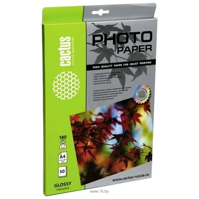 CACTUS Glyantsevaya A4 180 g/kv.m. 50 listov (CS-GA418050)