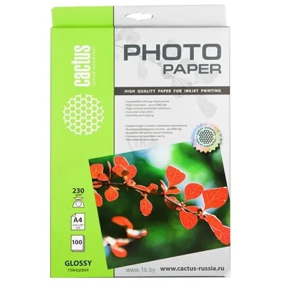 CACTUS Glyantsevaya A4 230 g/kv.m. 100 listov (CS-GA4230100)
