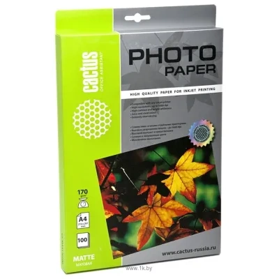 CACTUS Matovaya A4 170 g/kv.m. 100 listov (CS-MA4170100)