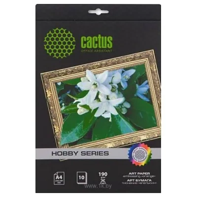 CACTUS matovaya A4 190 g/kv.m. 10 listov (CS-DA419010)
