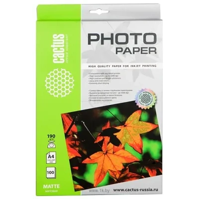 CACTUS Matovaya A4 190 g/kv.m. 100 listov(CS-MA4190100)