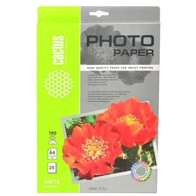 CACTUS Matovaya A4 190 g/kv.m. 25 listov