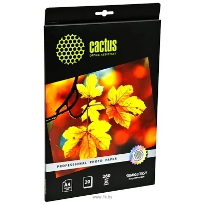 CACTUS Poluglyantsevaya A4 260 g/kv.m. 20 listov (CS-SGA426020)