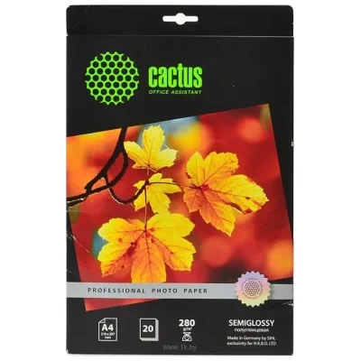 CACTUS poluglyantsevaya A4 280 g/kv.m. 20 listov (CS-SGA428020)