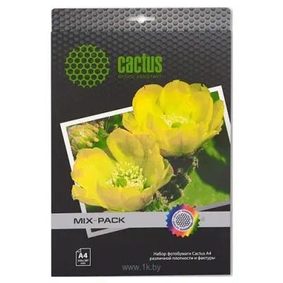 CACTUS Razlichnaya faktura universalnaya A4 21 list (CS-Mixpack)