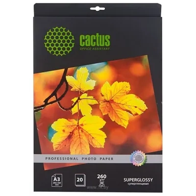 CACTUS Superglyantsevaya A3 260 g/kv.m. 20 listov (CS-HGA326020)