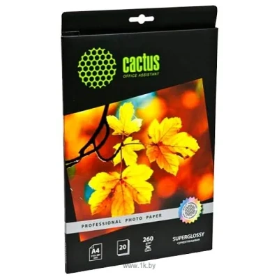 CACTUS Superglyantsevaya A4 260 g/m2 20 listov (CS-HGA426020)