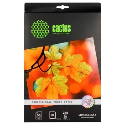 CACTUS Superglyantsevaya A4 260 g/m2 50 listov (CS-HGA426050)