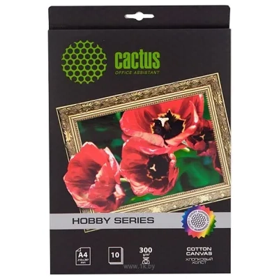 CACTUS Hlopkovyiy holst A4 300 g/kv.m. 10 listov (CS-SA426010)