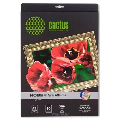 CACTUS Holst A3 300 g/m2 10 listov (CS-SA326010)