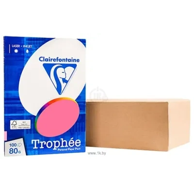 Clairefontaine Trophee A4 80 g/kv.m 100 l 4120C (mix fluo)